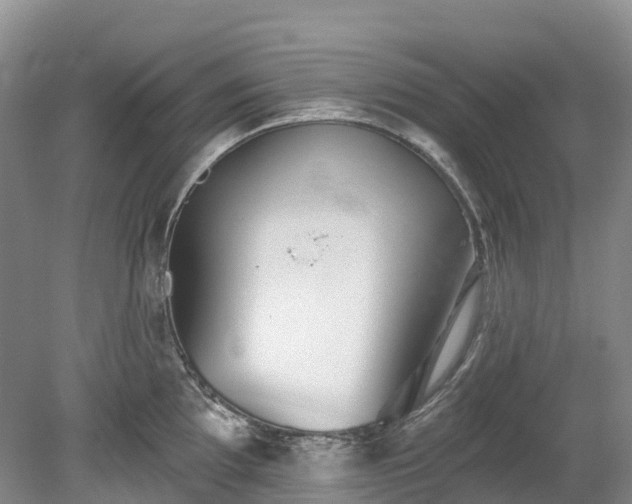 X0000078871097200611201333