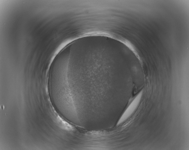 X0000078871102200611201333