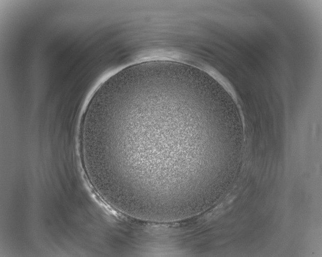 X0000078871104200611201333