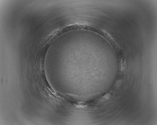 X0000078871110200611201332