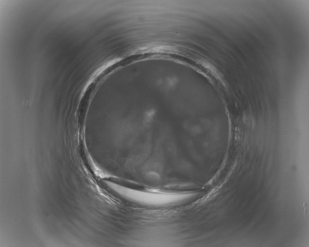 X0000078871117200611201332