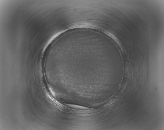 X0000078871120200611201332