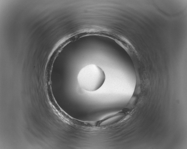 X0000078871122200611201332