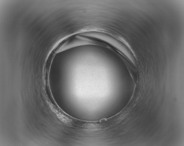 X0000078871124200611201332