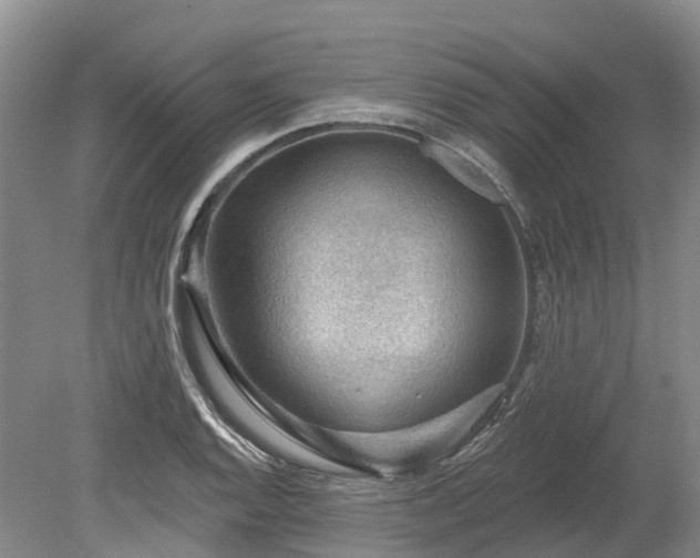 X0000078871128200611201332