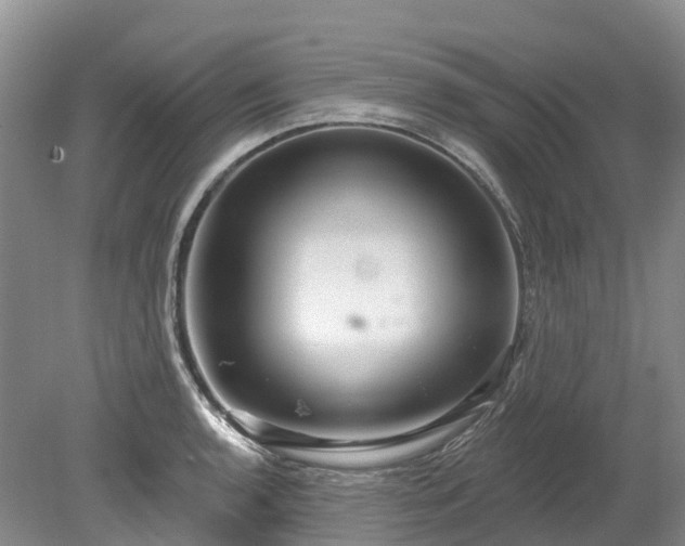 X0000078871136200611201333