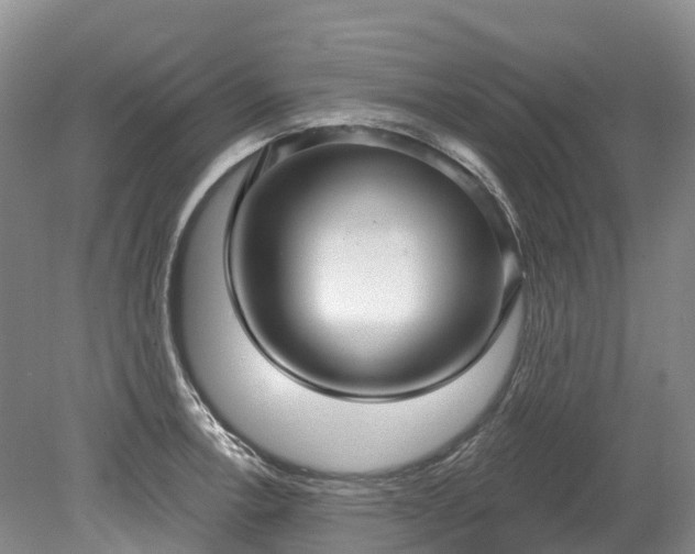 X0000078871138200611201333