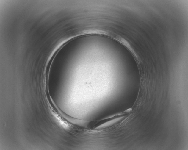 X0000078871140200611201333