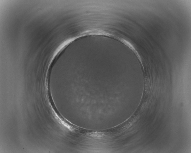 X0000078871141200611201333