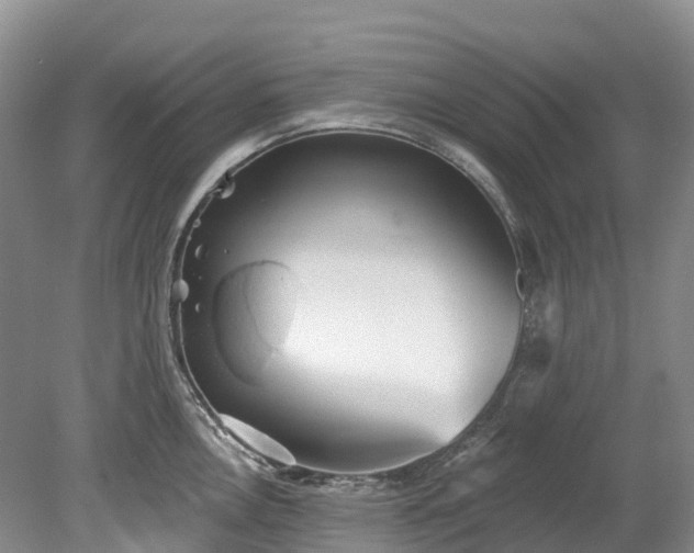 X0000078871146200611201333