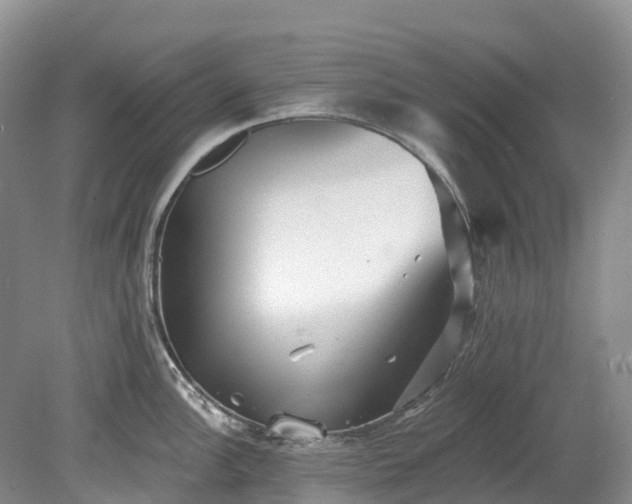 X0000078871148200611201333