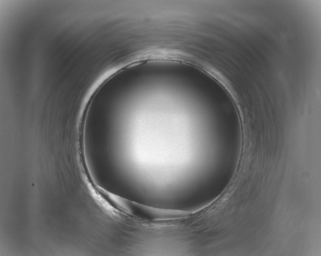 X0000078871152200611201333