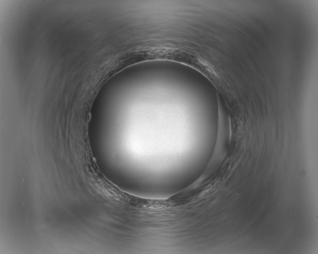 X0000078871153200611201332