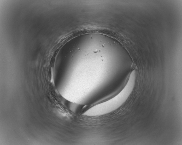 X0000078871157200611201332