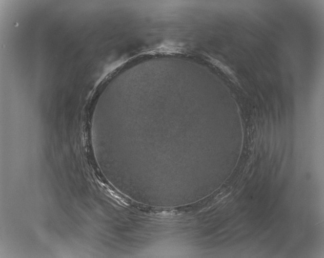 X0000078871160200611201332