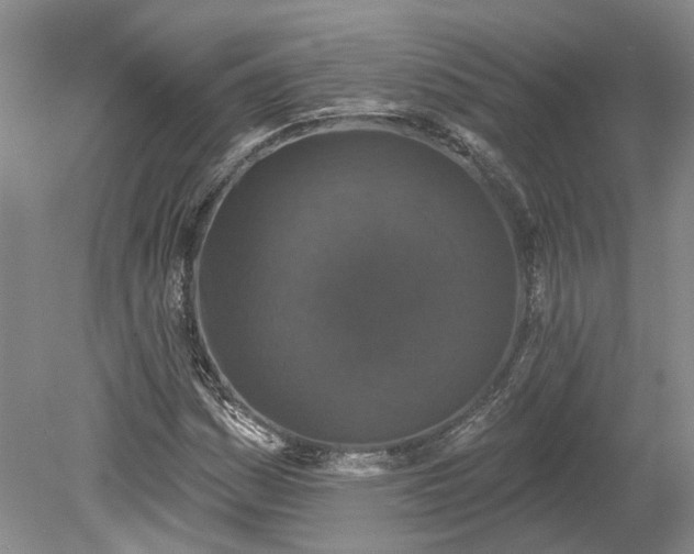 X0000078871161200611201332