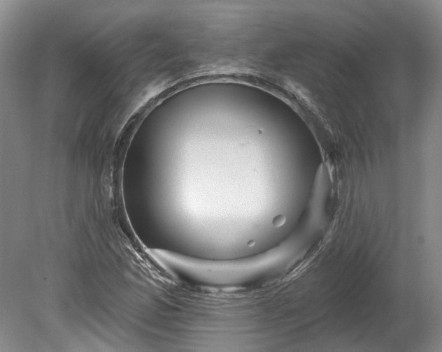 X0000078871165200611201332
