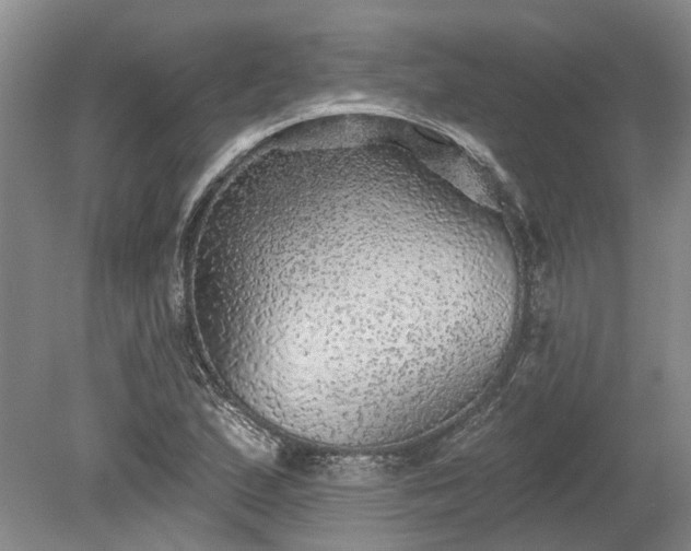X0000078871167200611201332