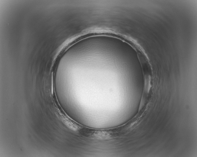 X0000078871175200611201332