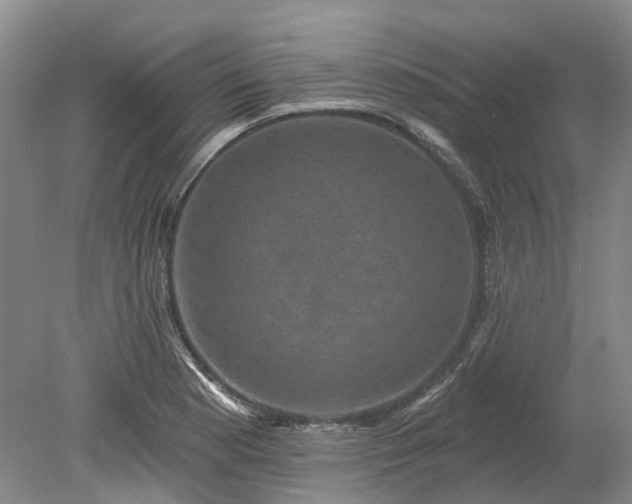 X0000078871177200611201332