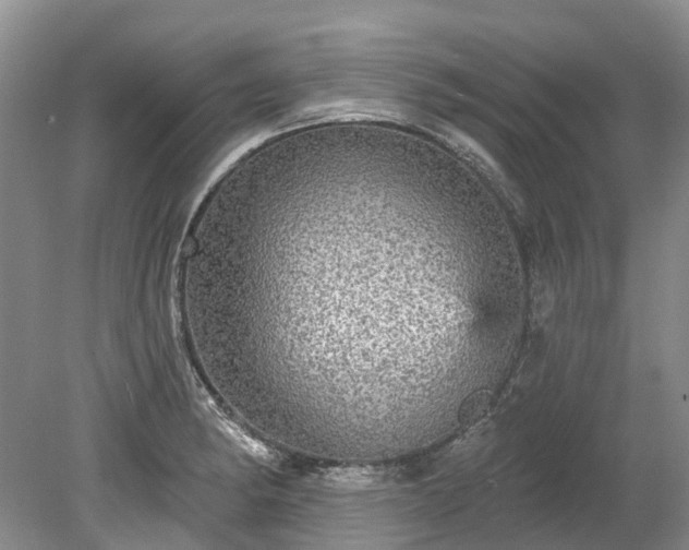 X0000078871182200611201331