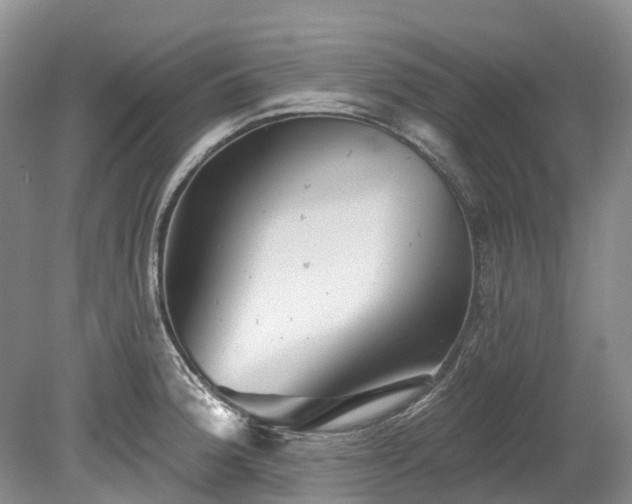 X0000078871188200611201331