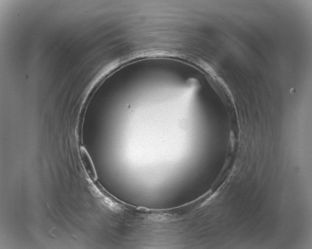 X0000078871189200611201331