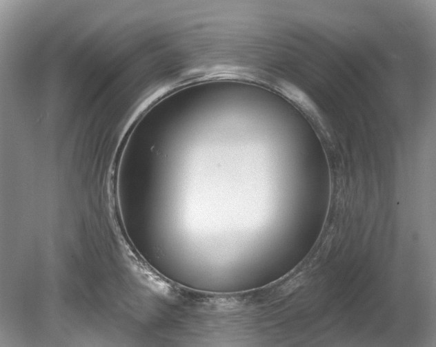 X0000078871190200611201331