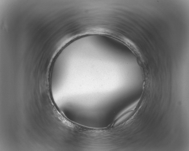 X0000078871192200611201331