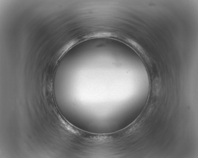 X0000078871193200611201331