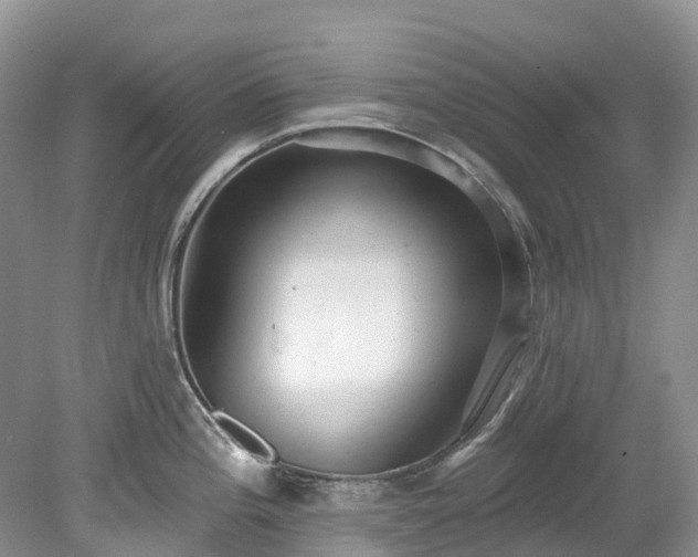 X0000078871196200611201331