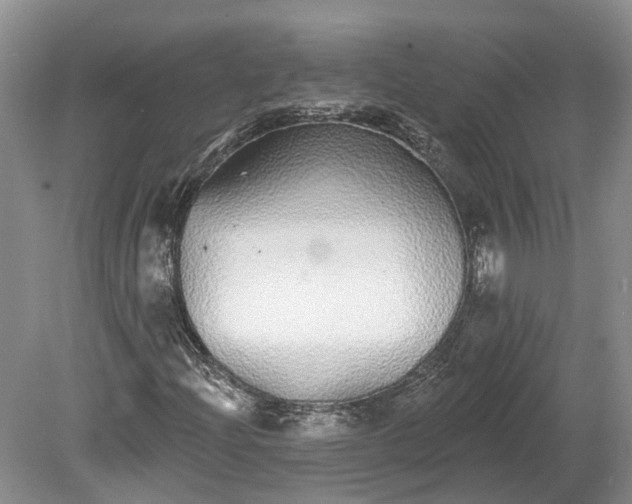 X0000078871204200611201330