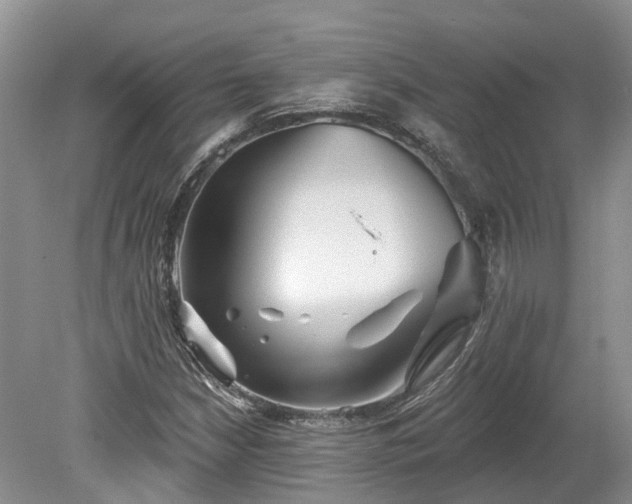 X0000078871210200611201331