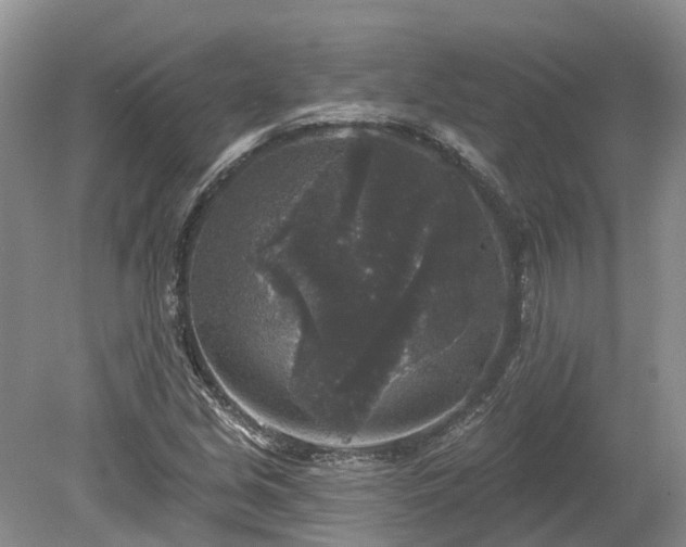 X0000078871213200611201331