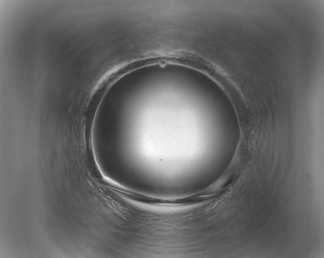 X0000078871214200611201331