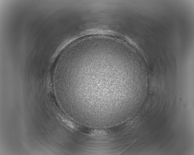 X0000078871215200611201331