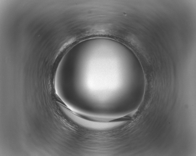 X0000078871218200611201331