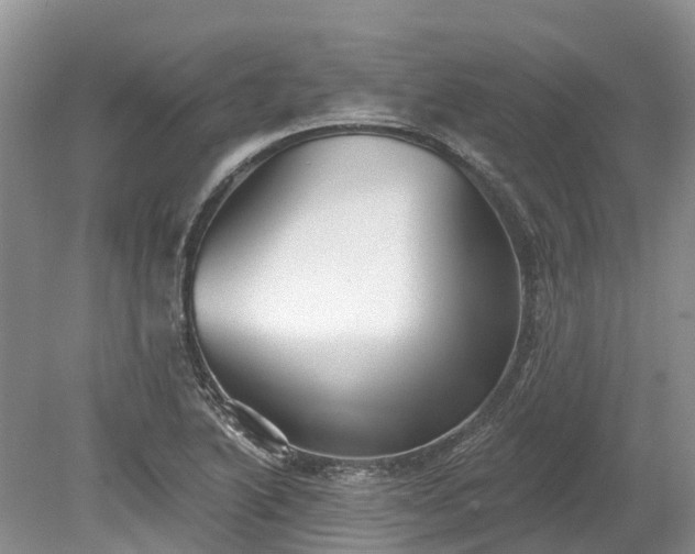 X0000078871222200611201331