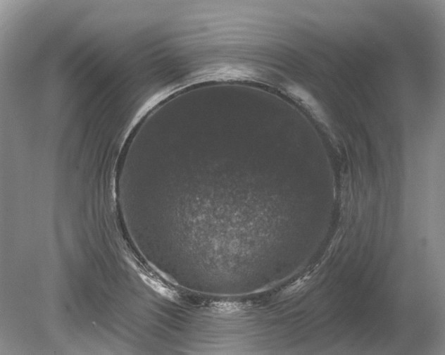 X0000078871226200611201331