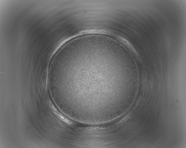 X0000078871228200611201331