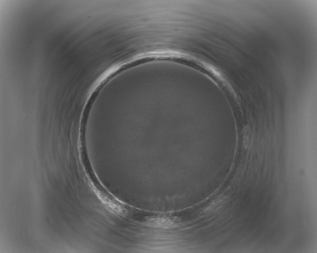 X0000078871229200611201331