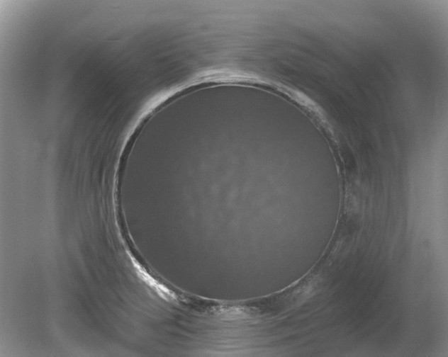 X0000078871231200611201331