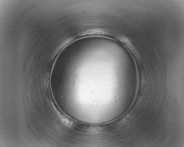X0000078871233200611201331