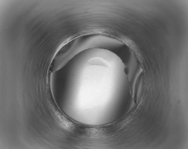 X0000078871234200611201331