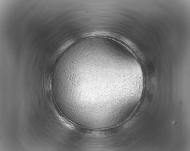 X0000078871241200611201331