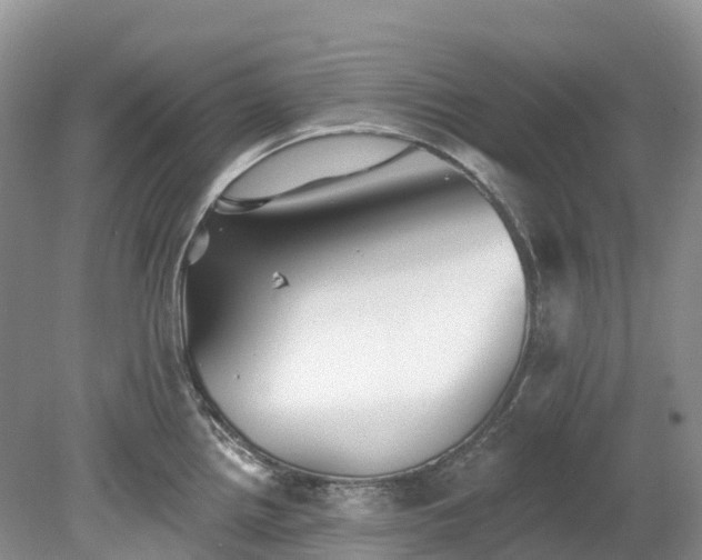 X0000078871242200611201331