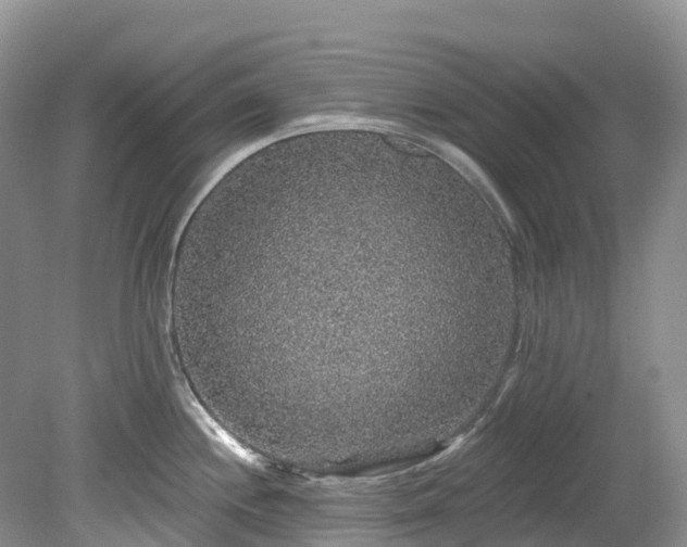 X0000078871244200611201331