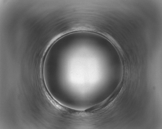 X0000078871246200611201331