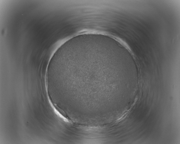 X0000078871247200611201331