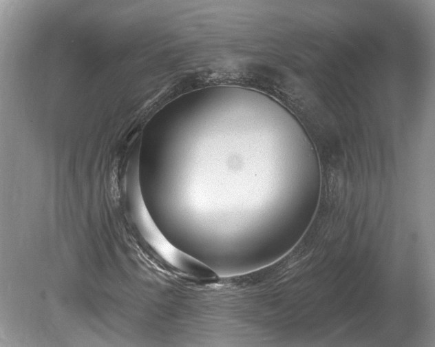 X0000078871250200611201330